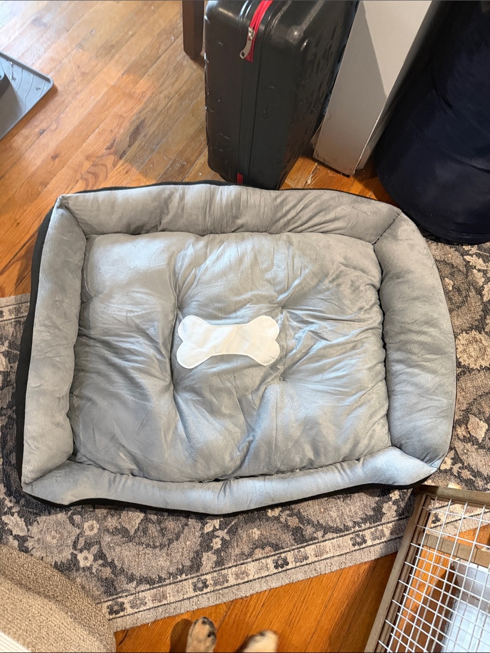 Plush Gray Dog Bed with Bone Accent - Cozy Pet Bed